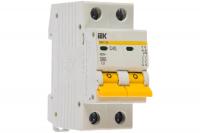 Vyklyuchatel'-avt-2p-S-40A-VA-47-29-4,5kA-IEK-MVA20-2-040-S